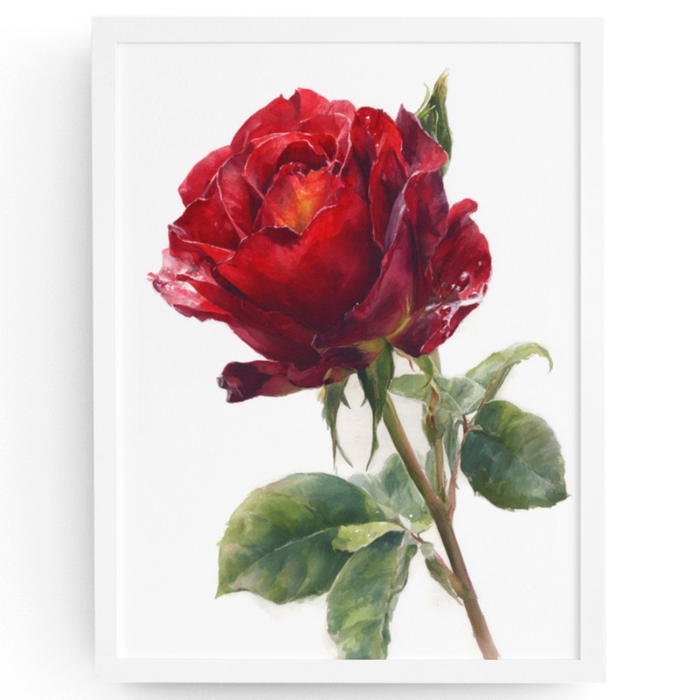 Watercolor Single Red Rose Wall Art Print, Unframed - Timeless Floral Elegance